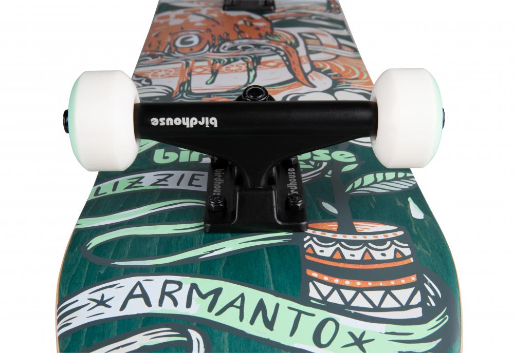 Birdhouse Complete Stage 3 Skateboard Armanto Favourites Green